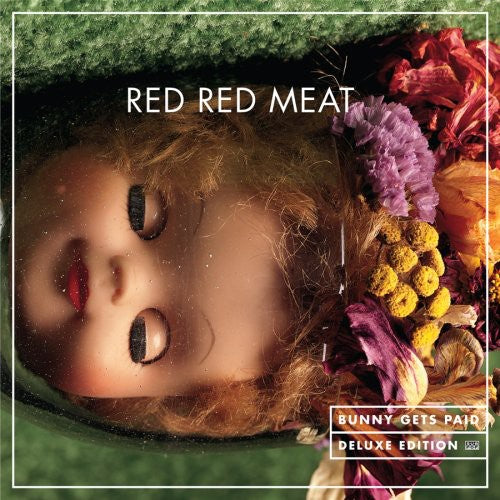 the album cover for Red Red Meat - Bunny Gets Paid