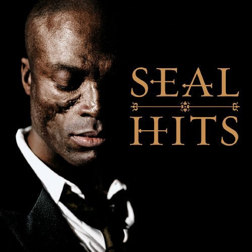 the album cover for Seal - Hits