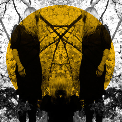 the album cover for Austra - Feel It Break