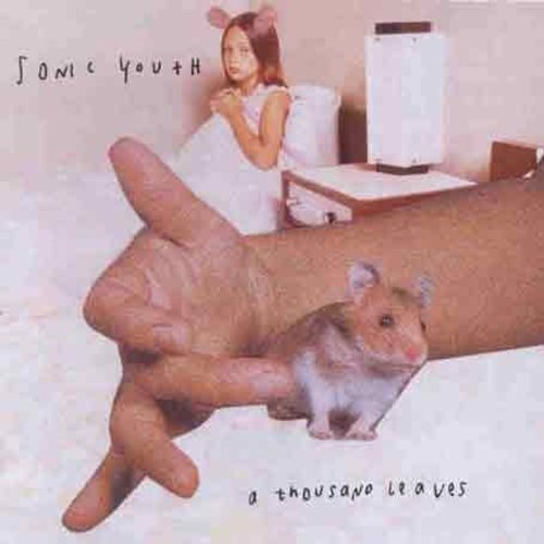 the album cover for Sonic Youth - Thousand Leaves