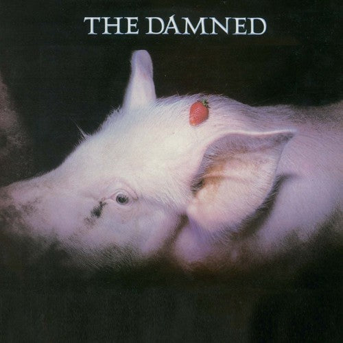 the album cover for The Damned - Strawberries