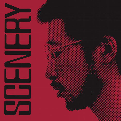 the album cover for Ryo Fukui - Scenery