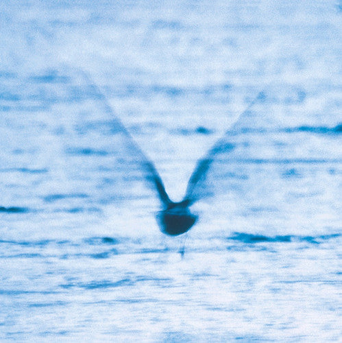 the album cover for Ryo Fukui - Mellow Dream