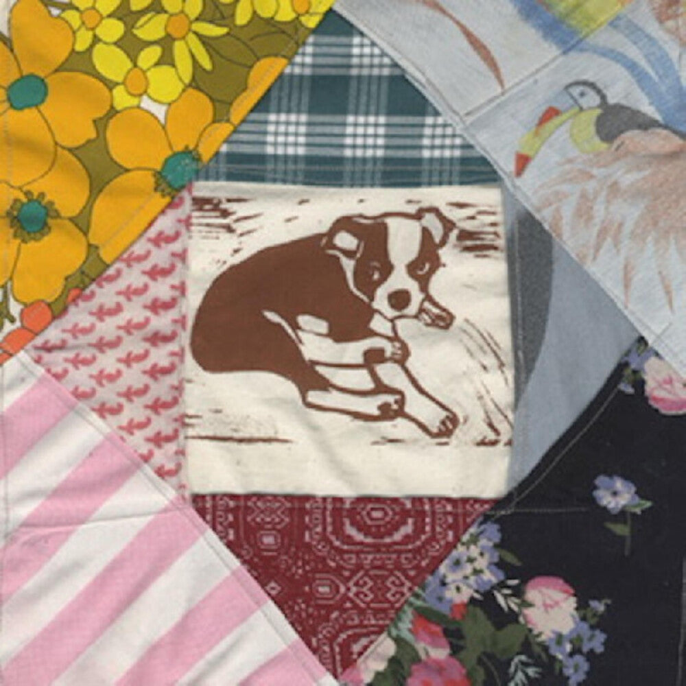 the album cover for Mapache - Roscoe's Dream