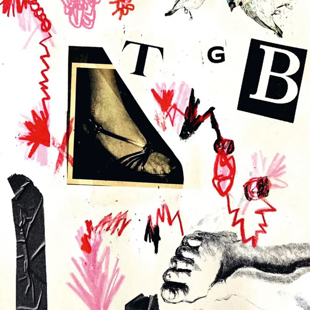 the album cover for Teri Bender Gender - Tgb
