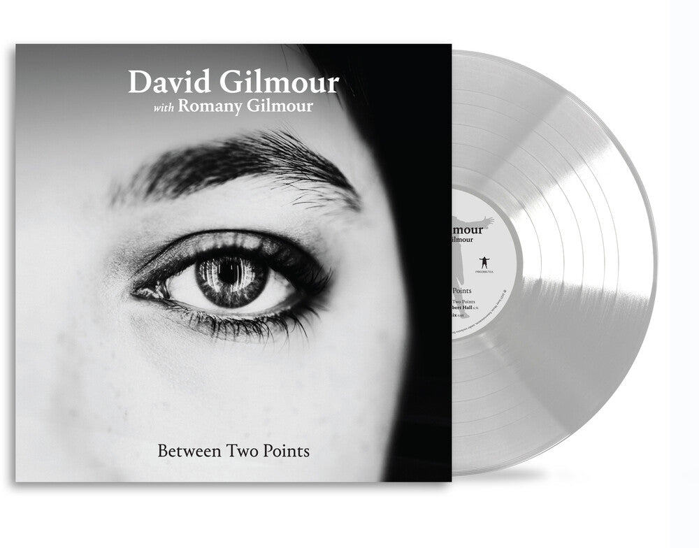 the album cover for David Gilmour - Between Two Points