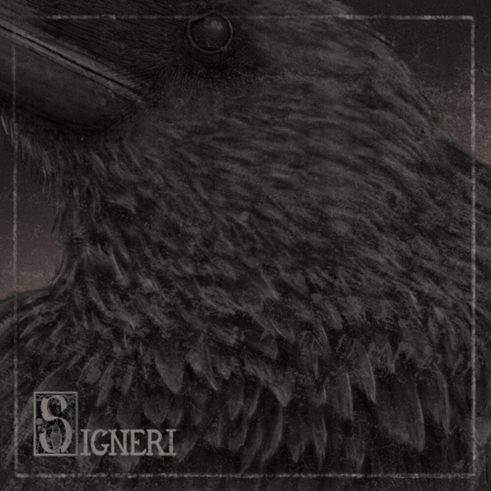 the album cover for Signeri - Signeri