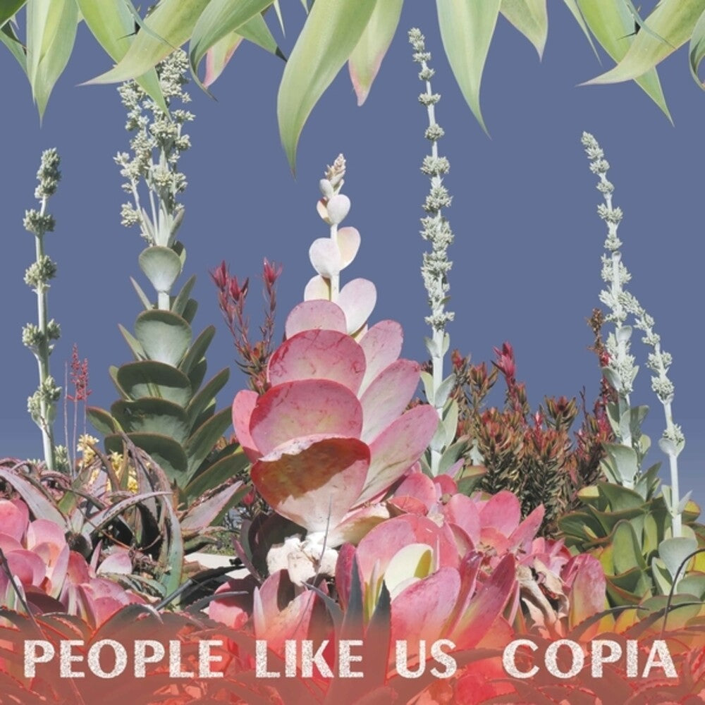 the album cover for People Like Us - Copia