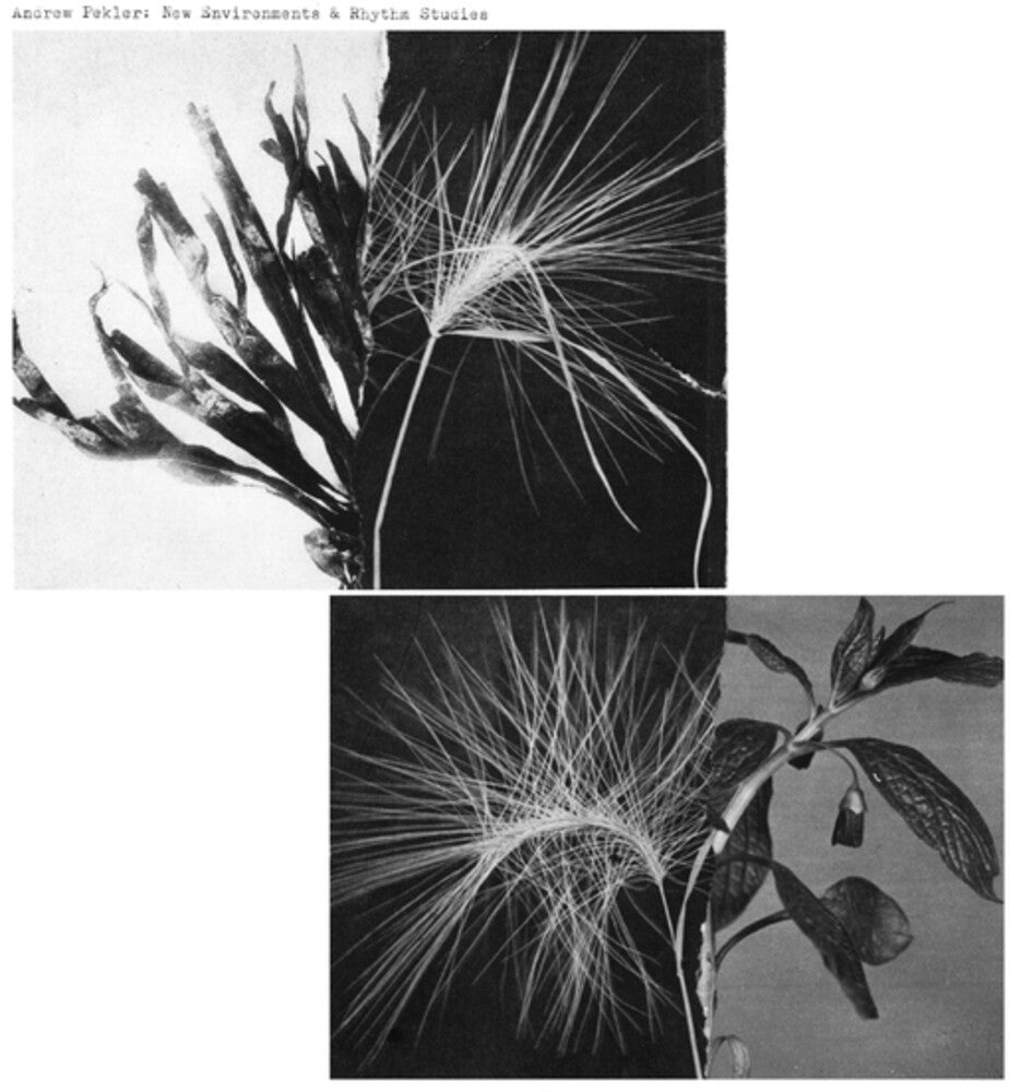 the album cover for Pekler, Andrew - New Environments And Rhythm Studies