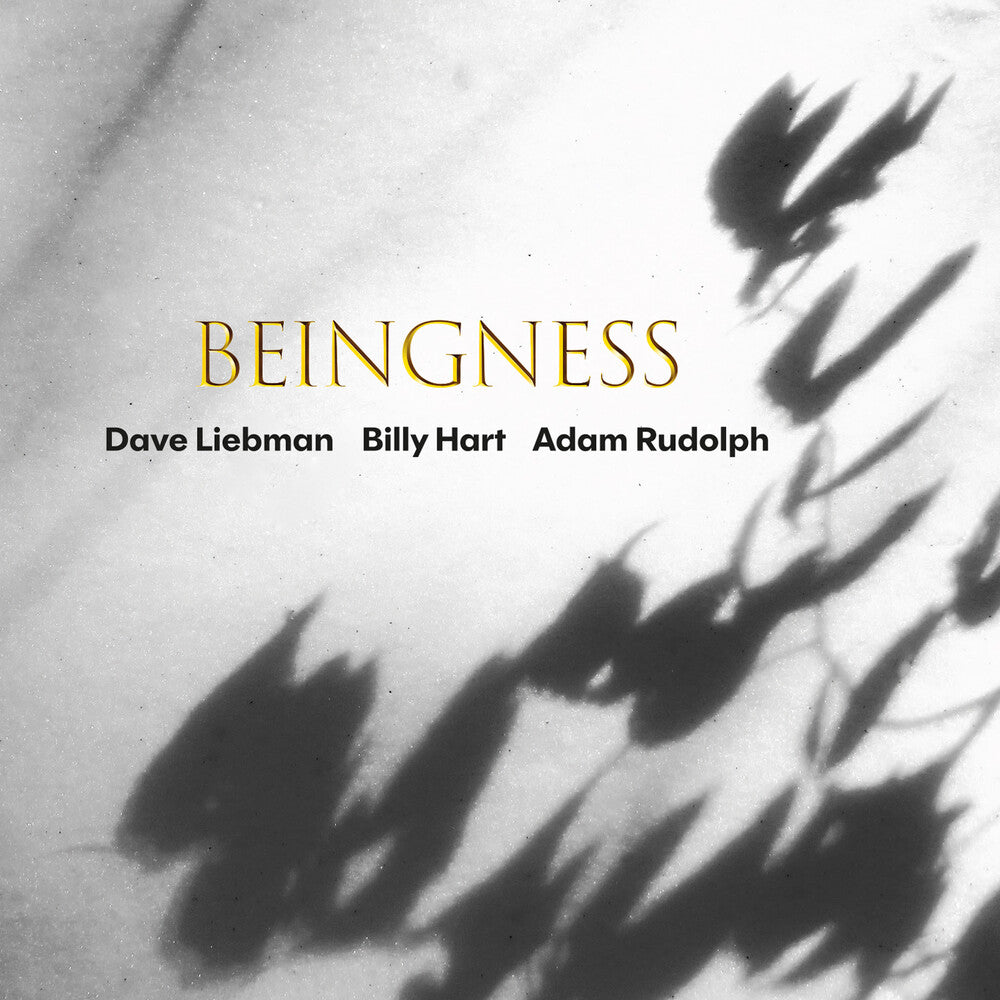 the album cover for Dave Liebman / Hart,Billy / Rudolph,Adam - Beingness