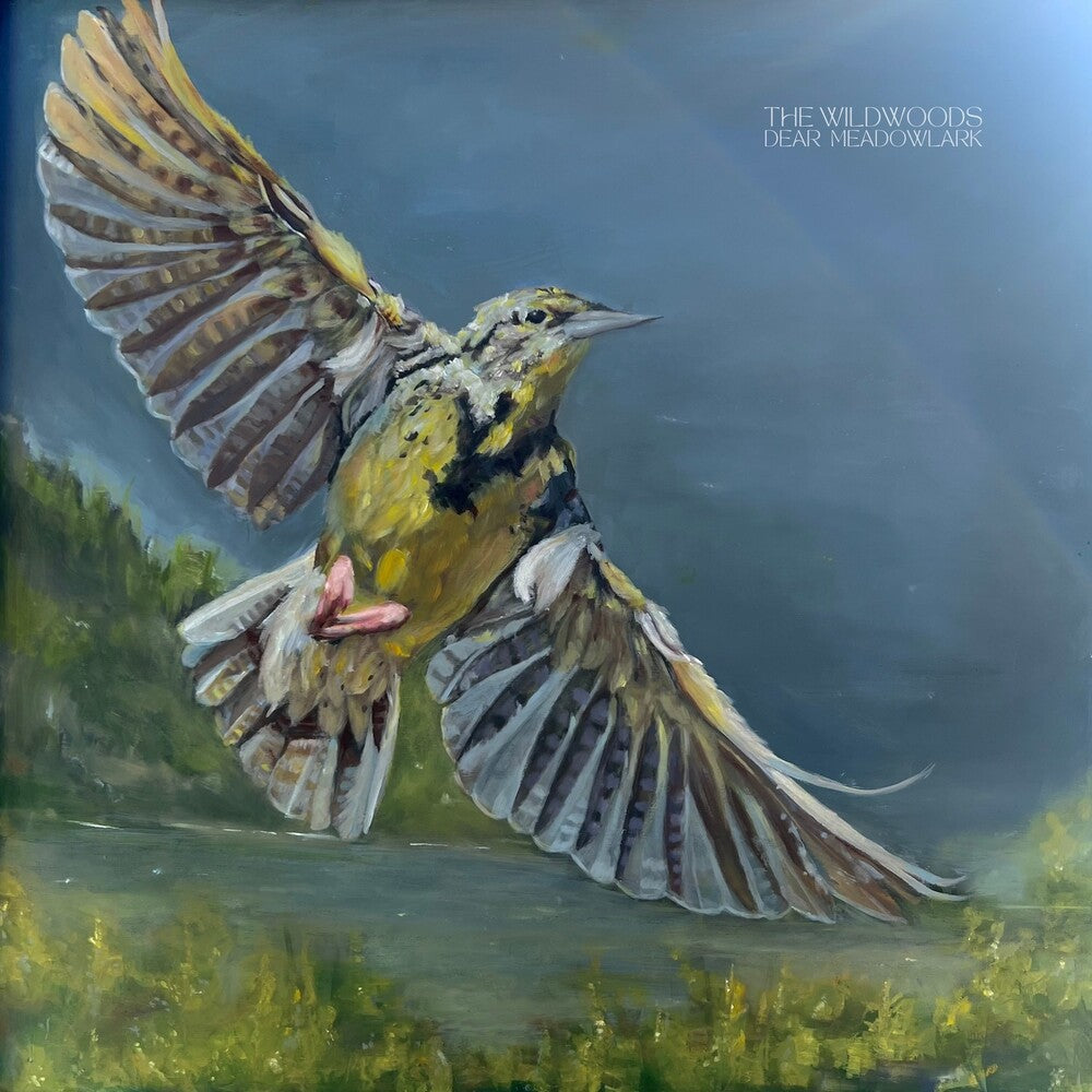 the album cover for Wildwoods - Dear Meadowlark