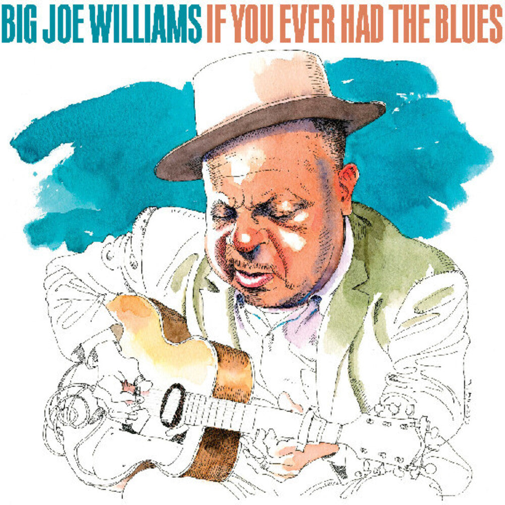 the album cover for Big Williams Joe - If You Ever Had The Blues (Eco)