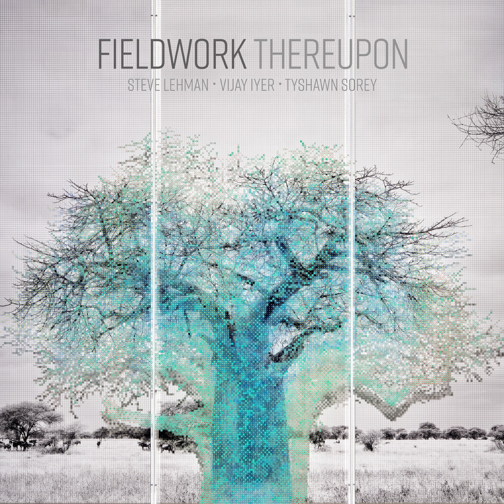 the album cover for Fieldwork - Unclassified Affections