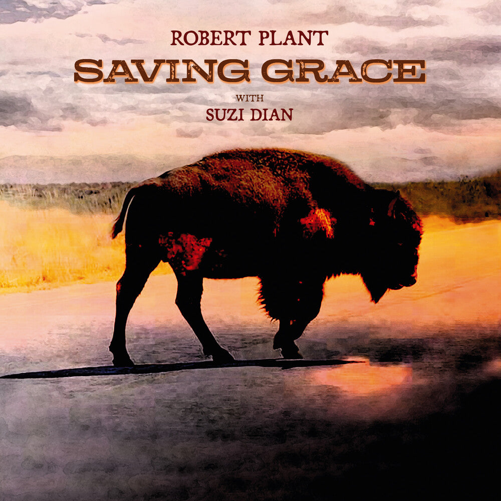 the album cover for Robert Plant - Saving Grace