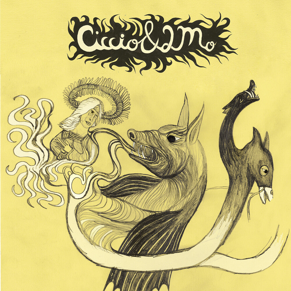 the album cover for Ciccio & 2mo - Bouc & Rouages