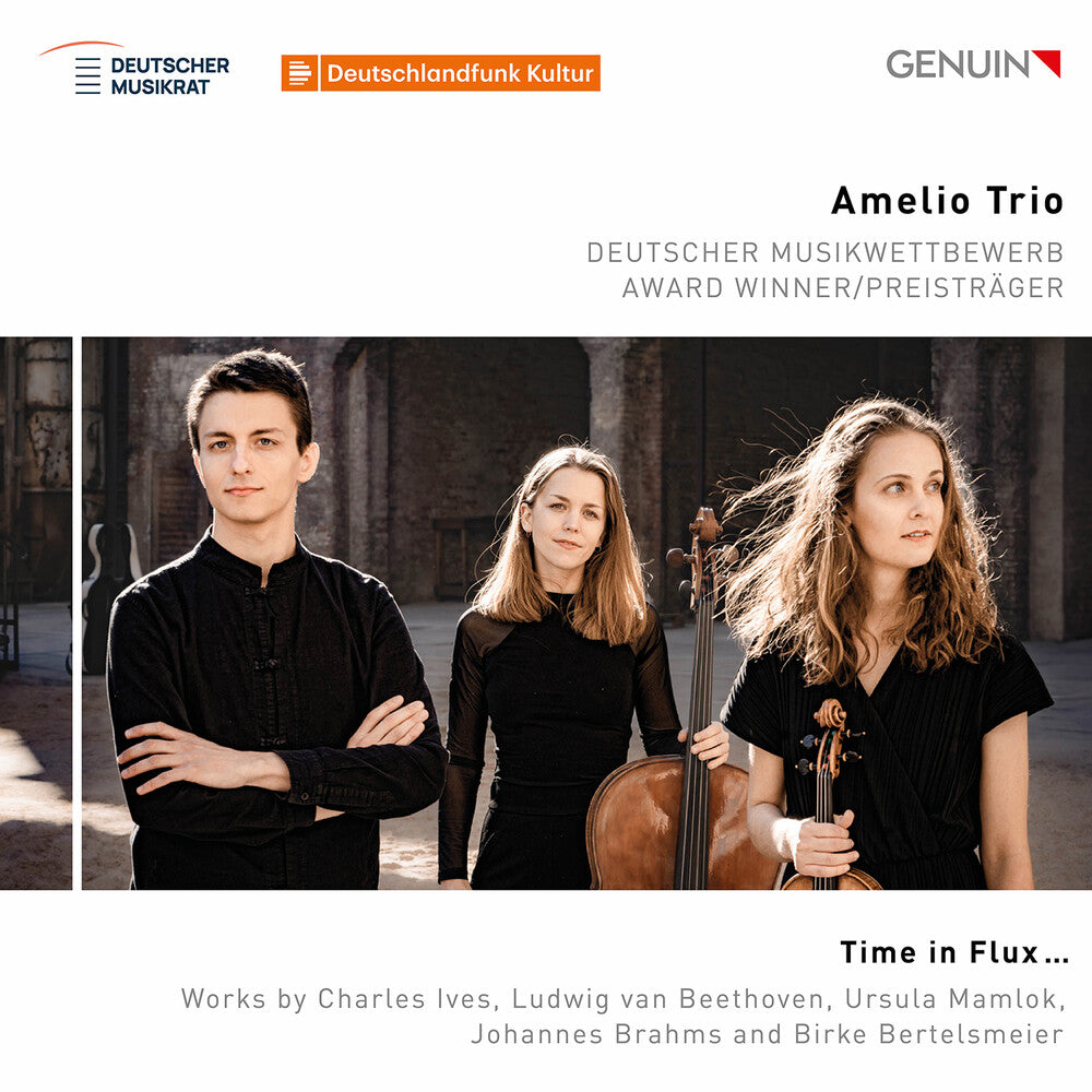 the album cover for Amelio Trio - Time In Flux