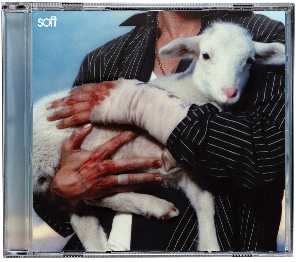 the album cover for LANY - Soft