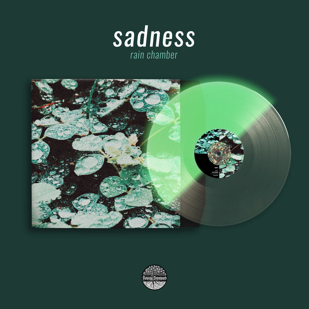 the album cover for Sadness - Rain Chamber