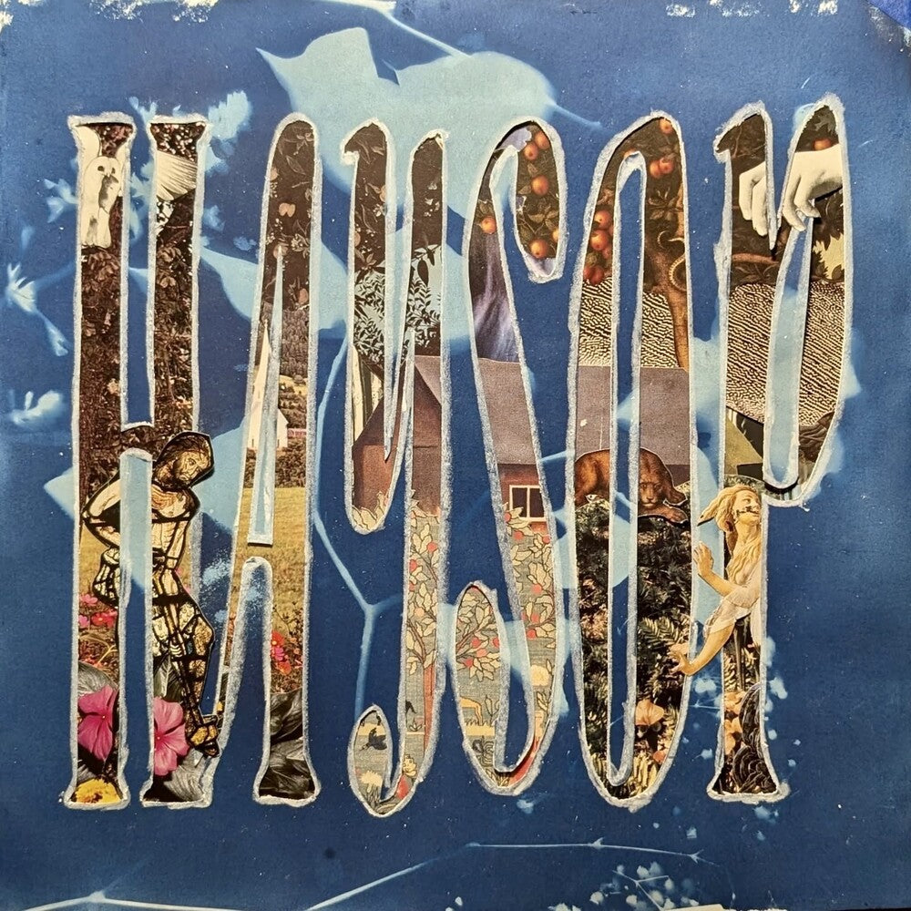 the album cover for Haysop - Haysop
