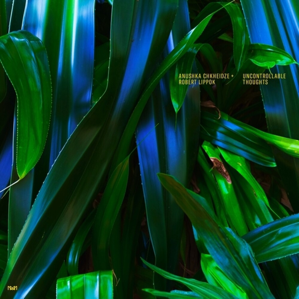 the album cover for Anushka Chkheidze / Lippok,Robert - Uncontrollable Thoughts