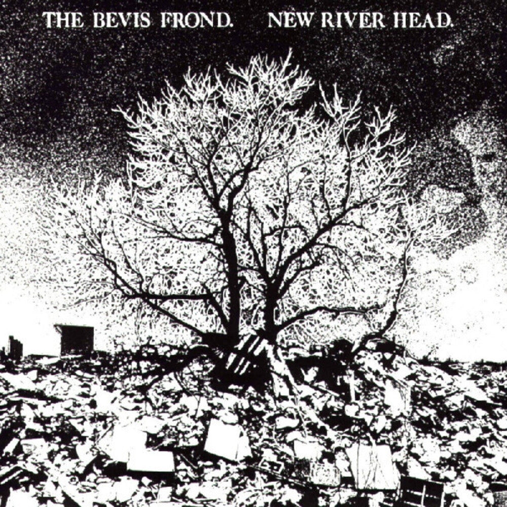 the album cover for Bevis Frond - New River Head (Gate)
