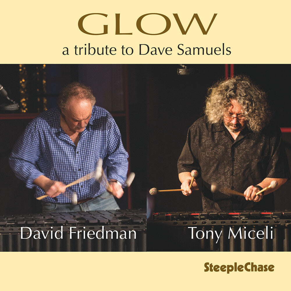 the album cover for David Friedman - Glow