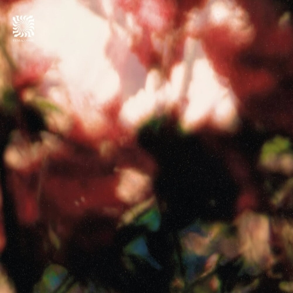 the album cover for Euphonic Alliances Ltd - Peace Is It In You (Ep)