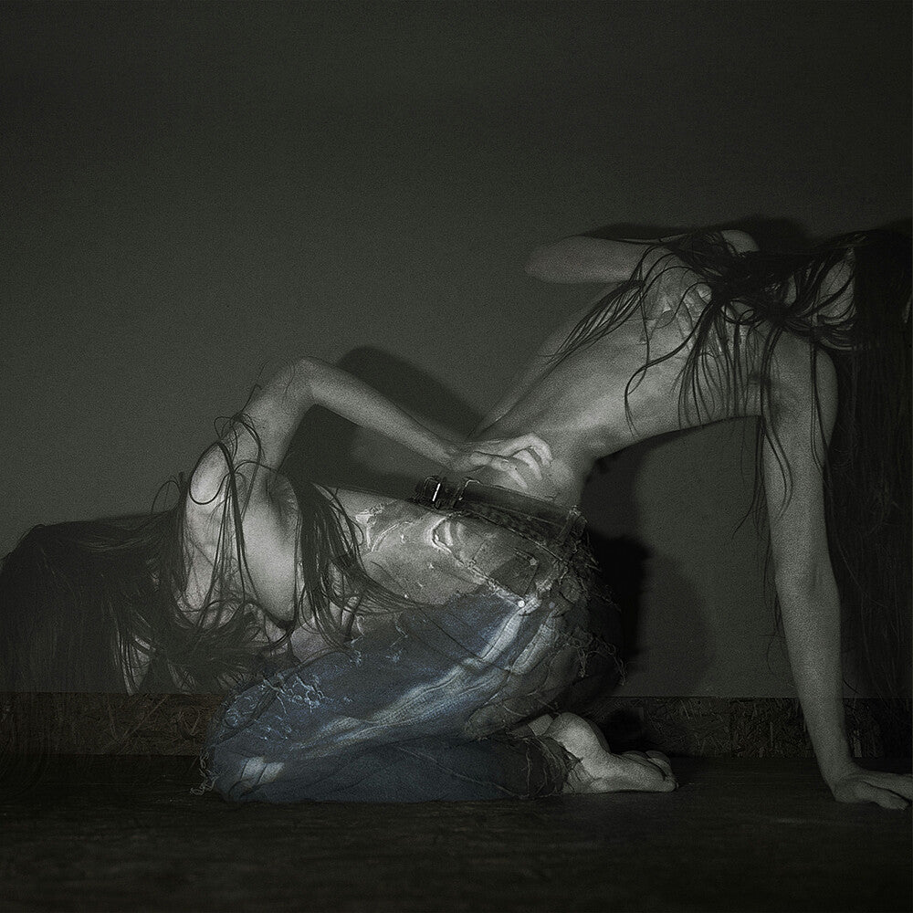 the album cover for Sofia Isella - Something Is A Shell .