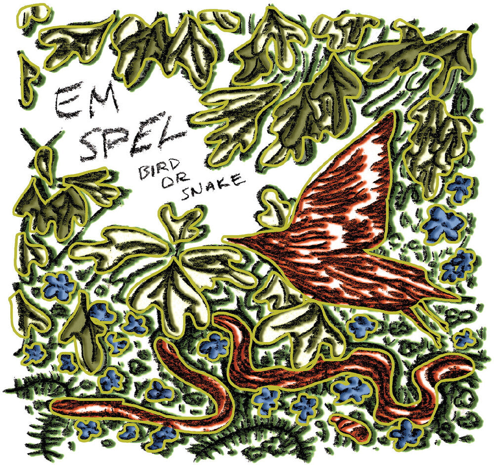 the album cover for Em Spel - Bird Or Snake