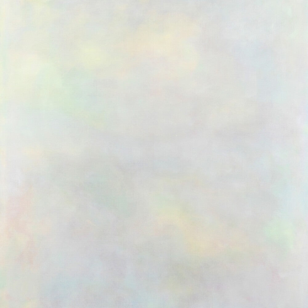 the album cover for Variant - Setting Sun