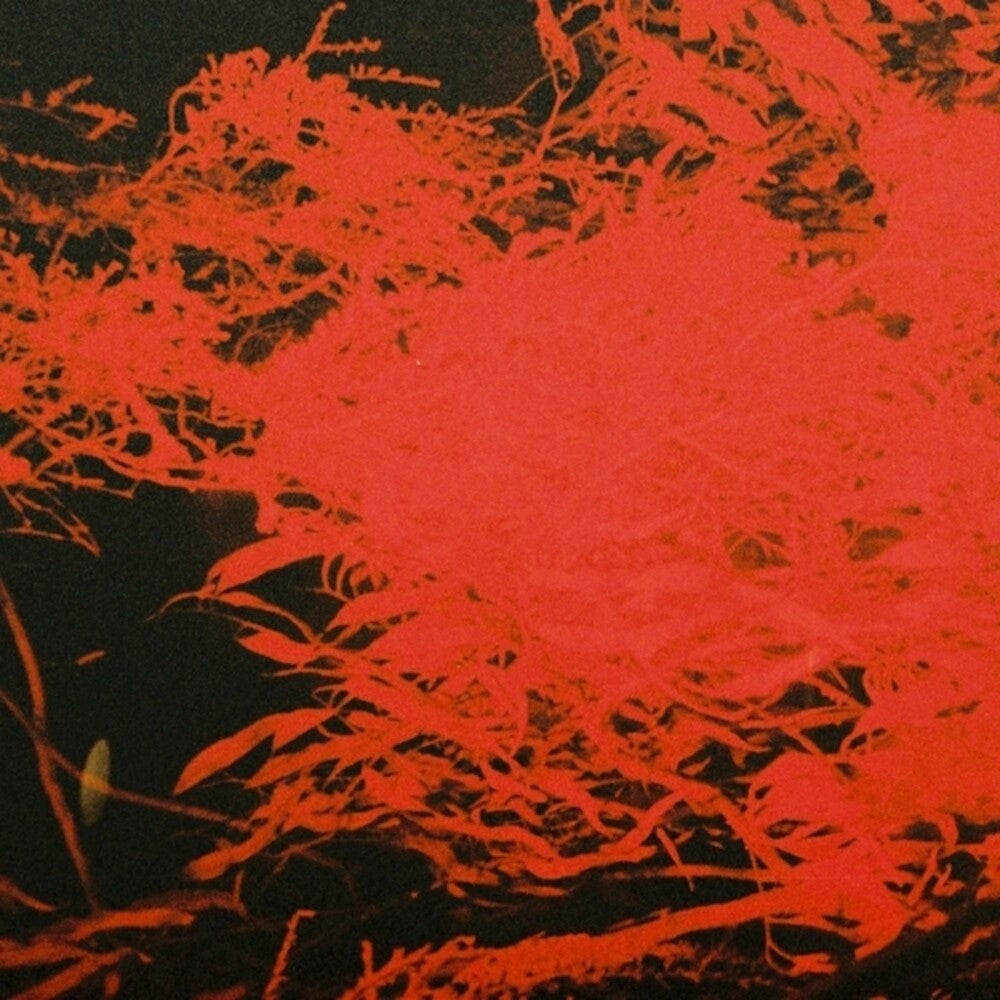 the album cover for Anthony Naples - In Studio Magic