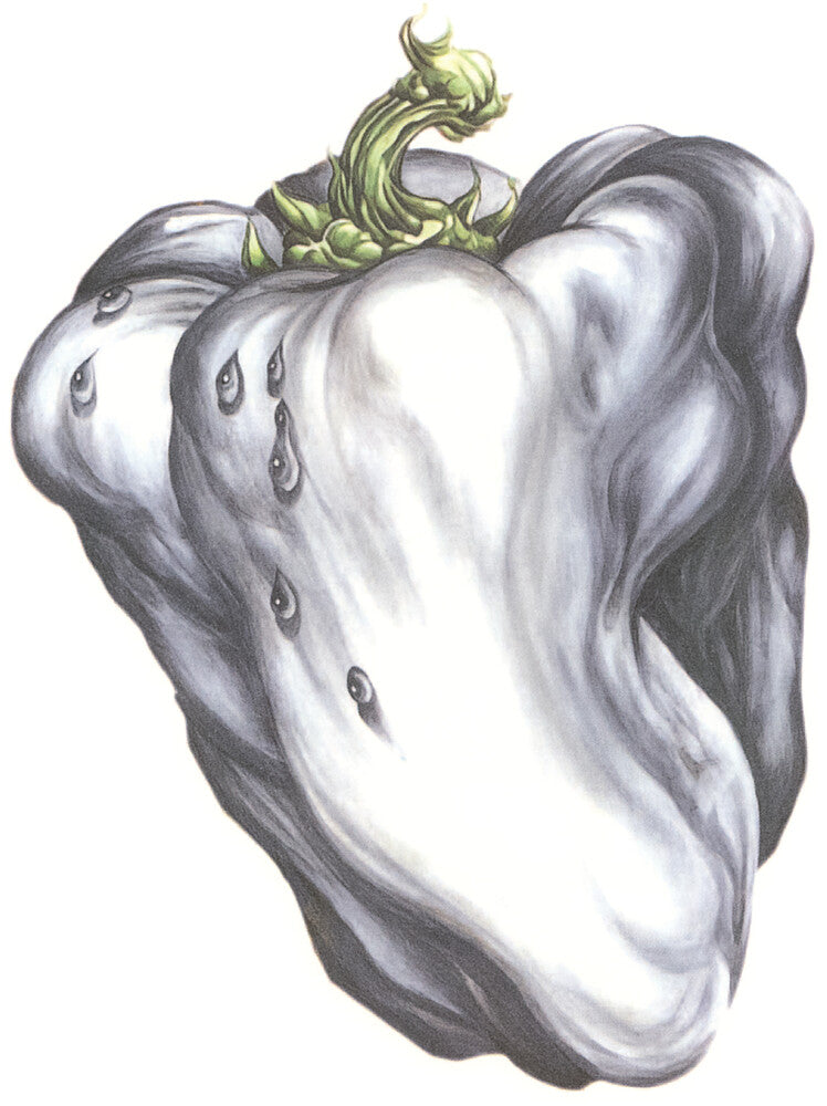 Ween - White Pepper [Green] – South Metro Music
