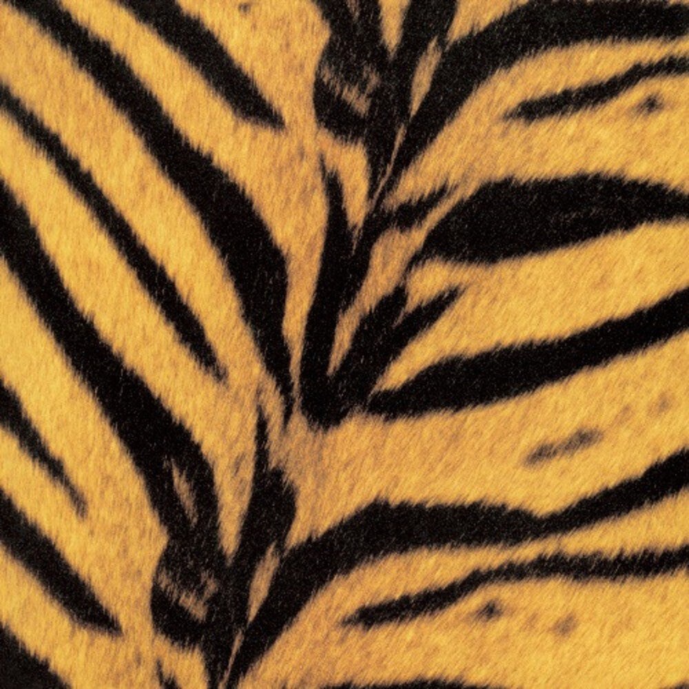 the album cover for High-Lows - Tigermobile (Jpn)