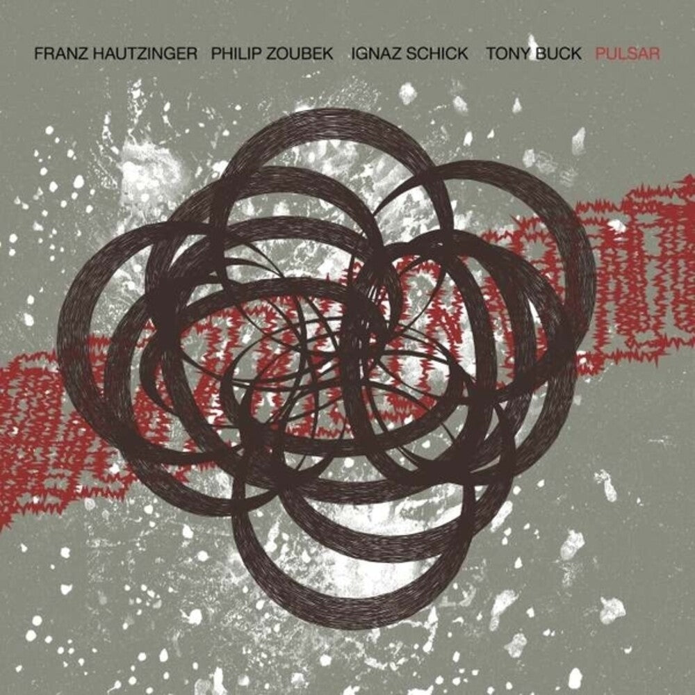 the album cover for Hautzinger / Zoubek / Schick / Buck - Pulsar