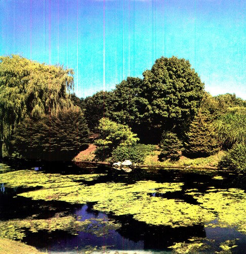 the album cover for Shellac - Terraform