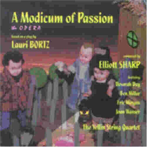 the album cover for Lauri Bortz - Modicum of Passion