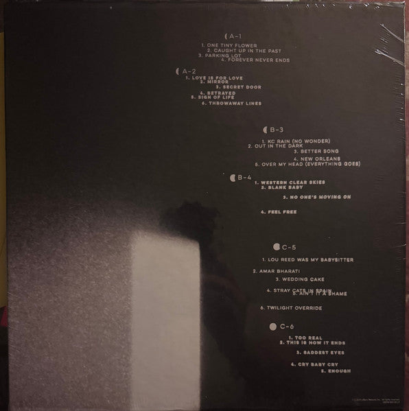 Jeff Tweedy - Twilight Override