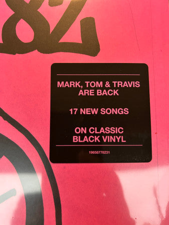Blink-182 - One More Time...