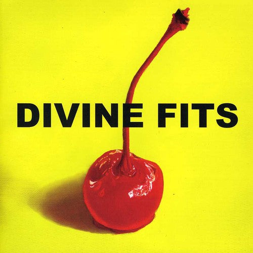 the album cover for Divine Fits - A Thing Called Divine Fits