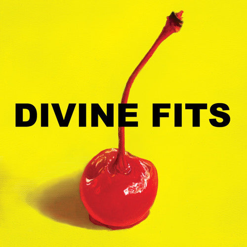 the album cover for Divine Fits - A Thing Called Divine Fits
