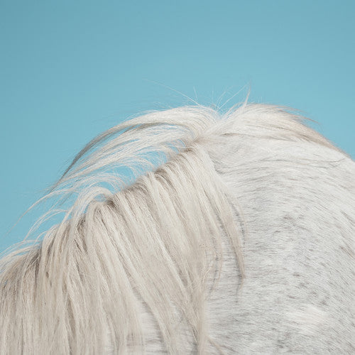 the album cover for Widowspeak - All Yours