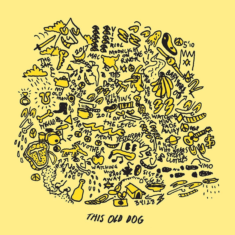 the album cover for Mac DeMarco - This Old Dog [LP]