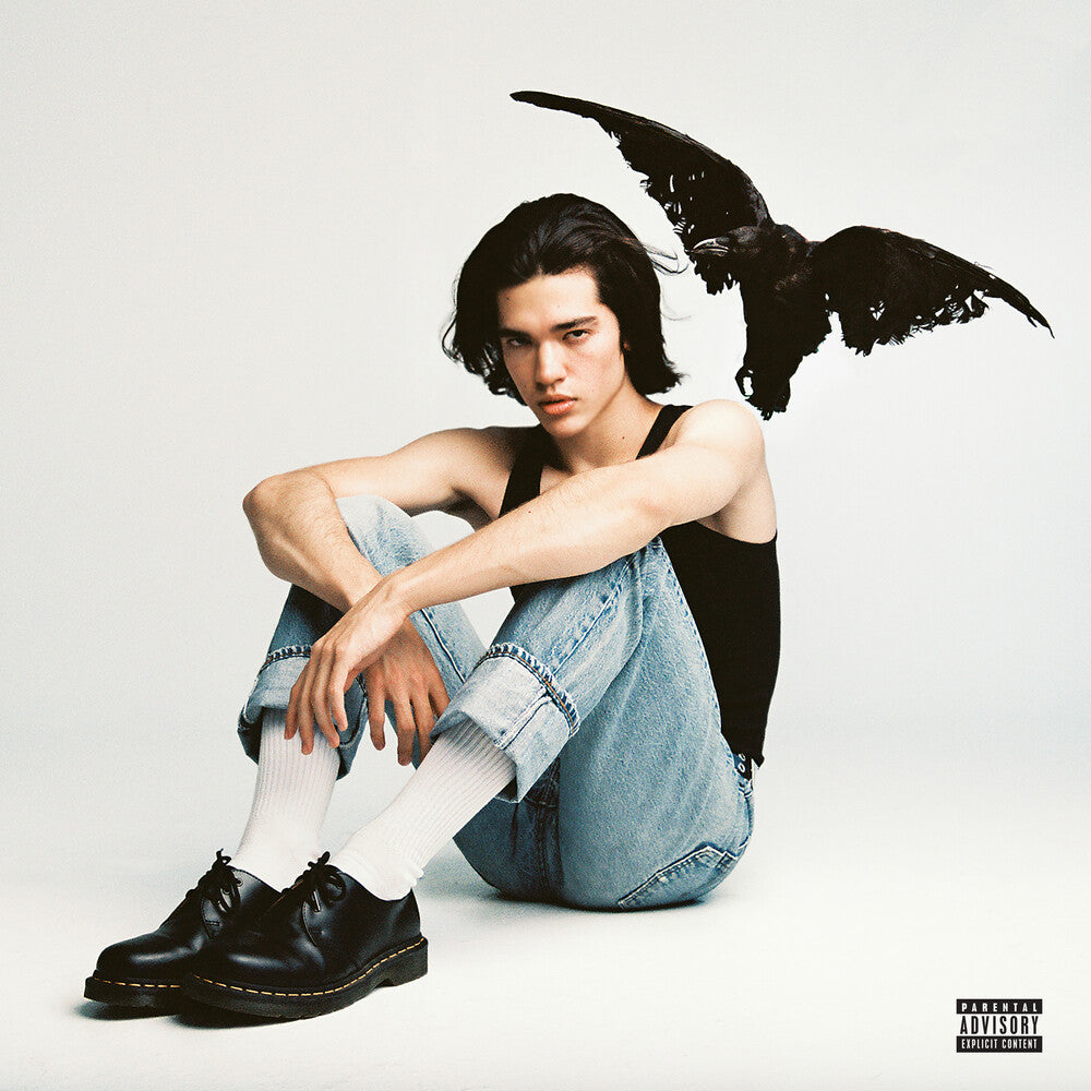 the album cover for Conan Gray - Kid Krow [LP]