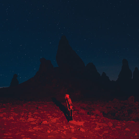 the album cover for Phoebe Bridgers - Punisher
