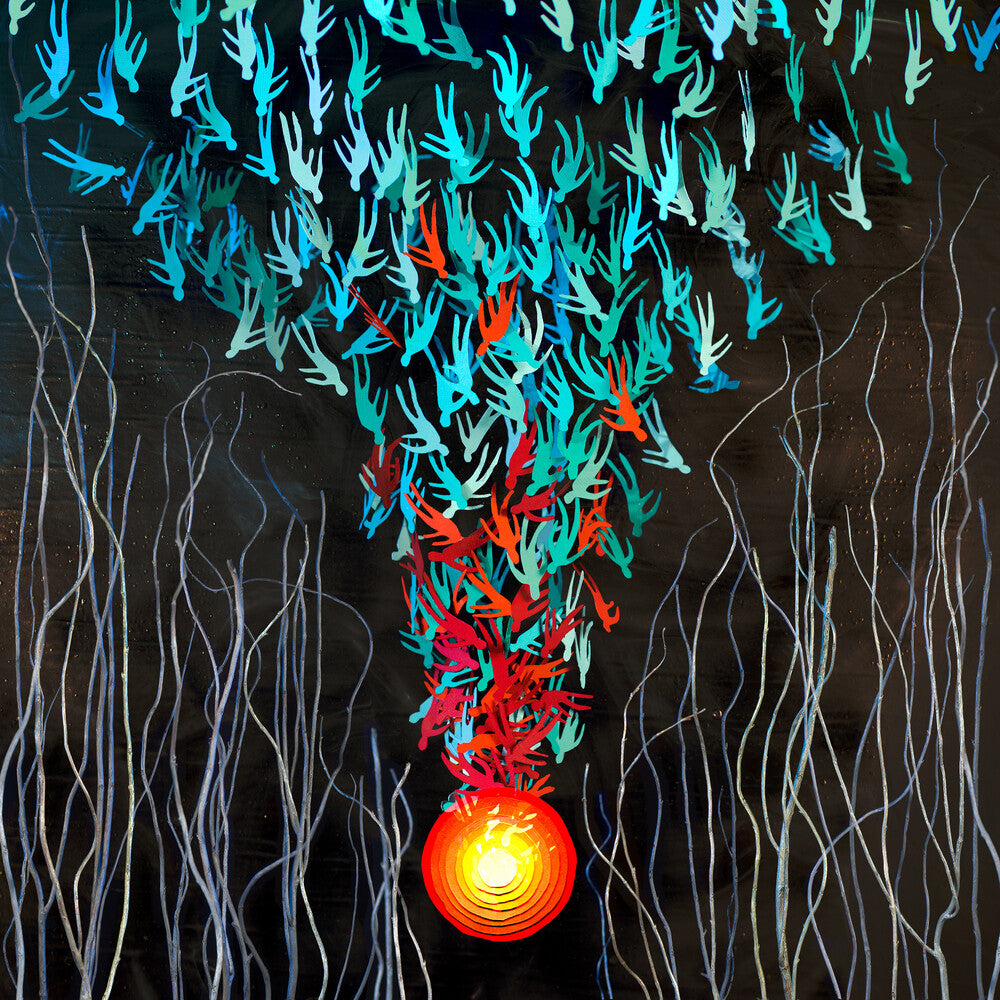 the album cover for Bright Eyes - Down in the Weeds, Where the World Once Was [2LP]