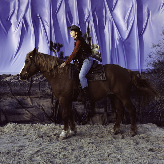 the album cover for The Holy Motors - Horse [Indie Exclusive Limited Edition Metallic Gold LP]