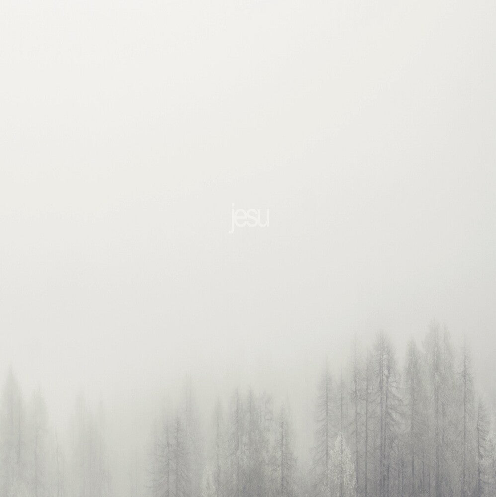 the album cover for Jesu - Terminus