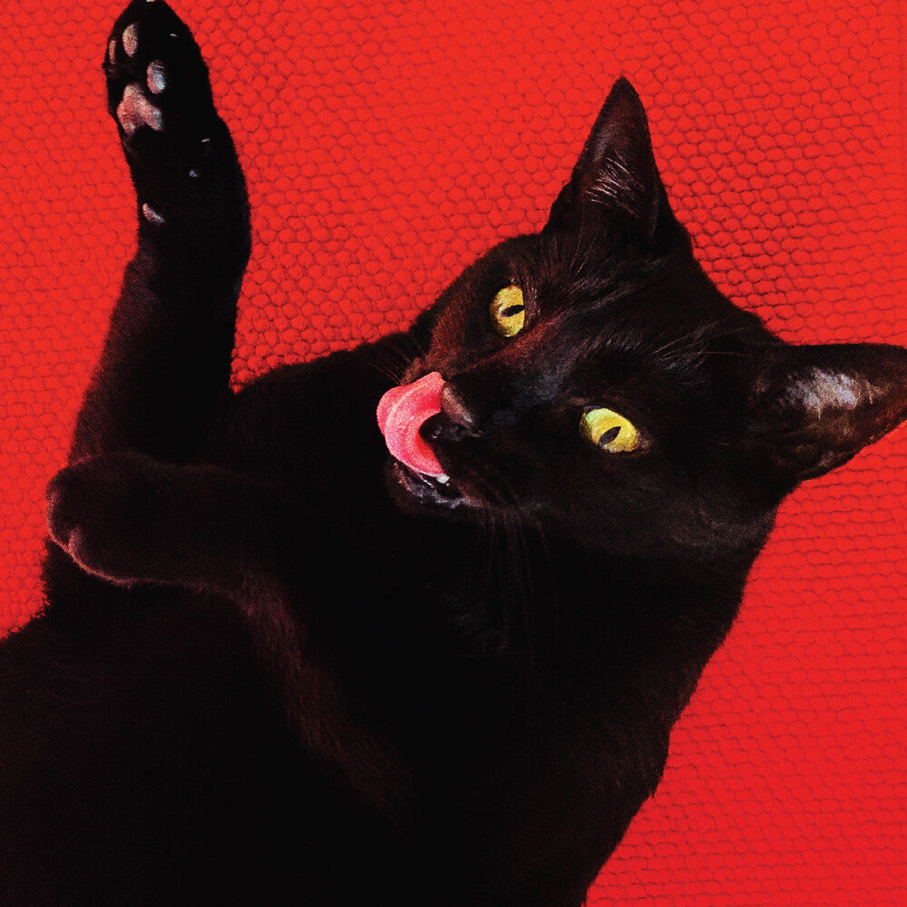 the album cover for Ryan Adams - Big Colors