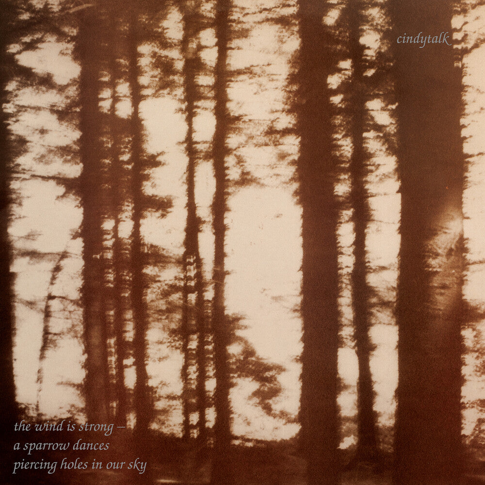 the album cover for Cindytalk - Wind Is Strong [Indie Exclusive] (Marbled Smoke Vinyl) [Colored Vinyl]