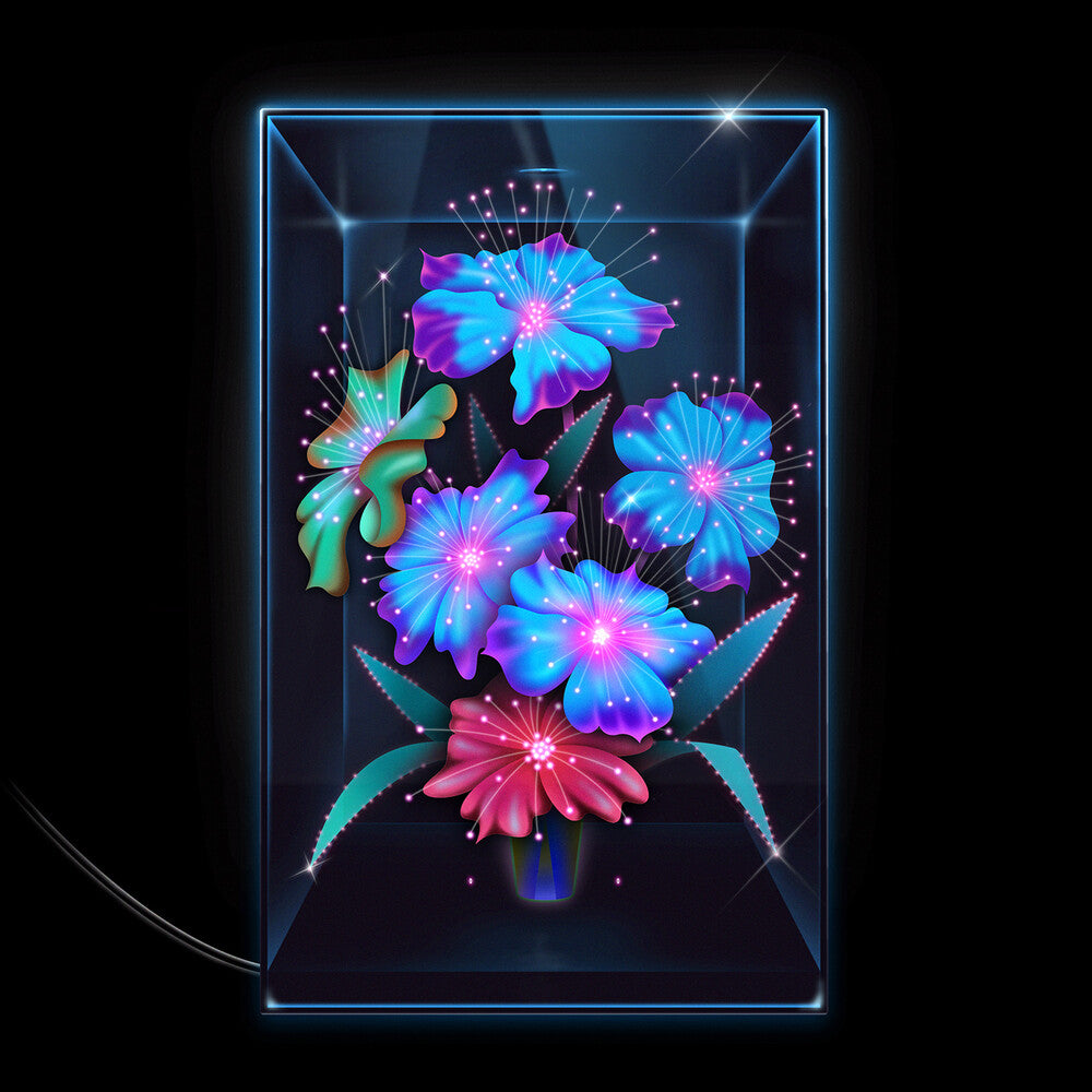 the album cover for Xenia Rubinos - Una Rosa